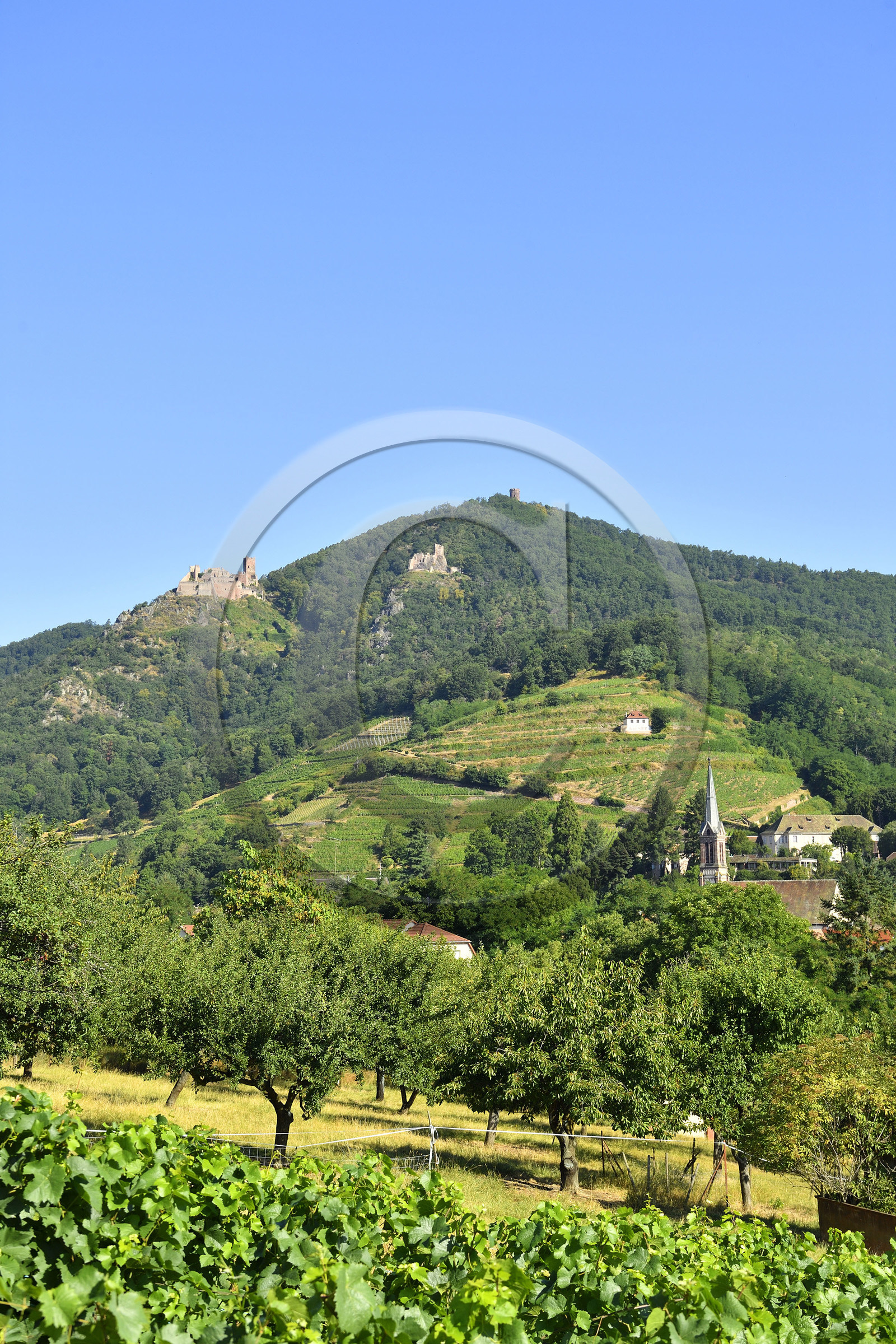 France,  Ribeauville