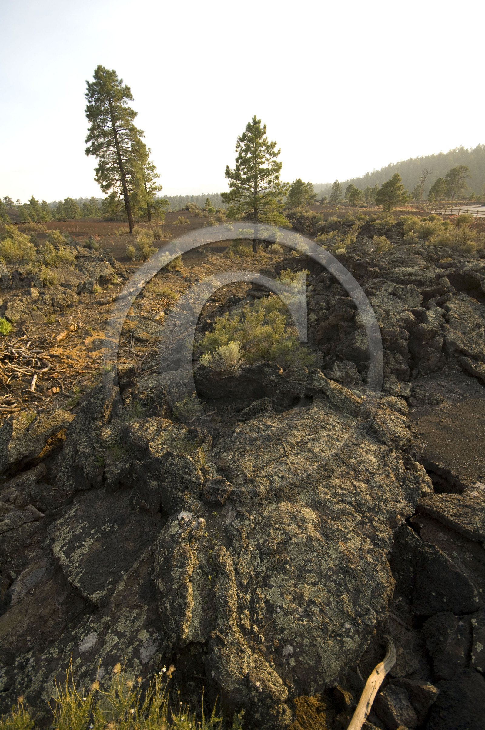 USA, SUNSET CRATER