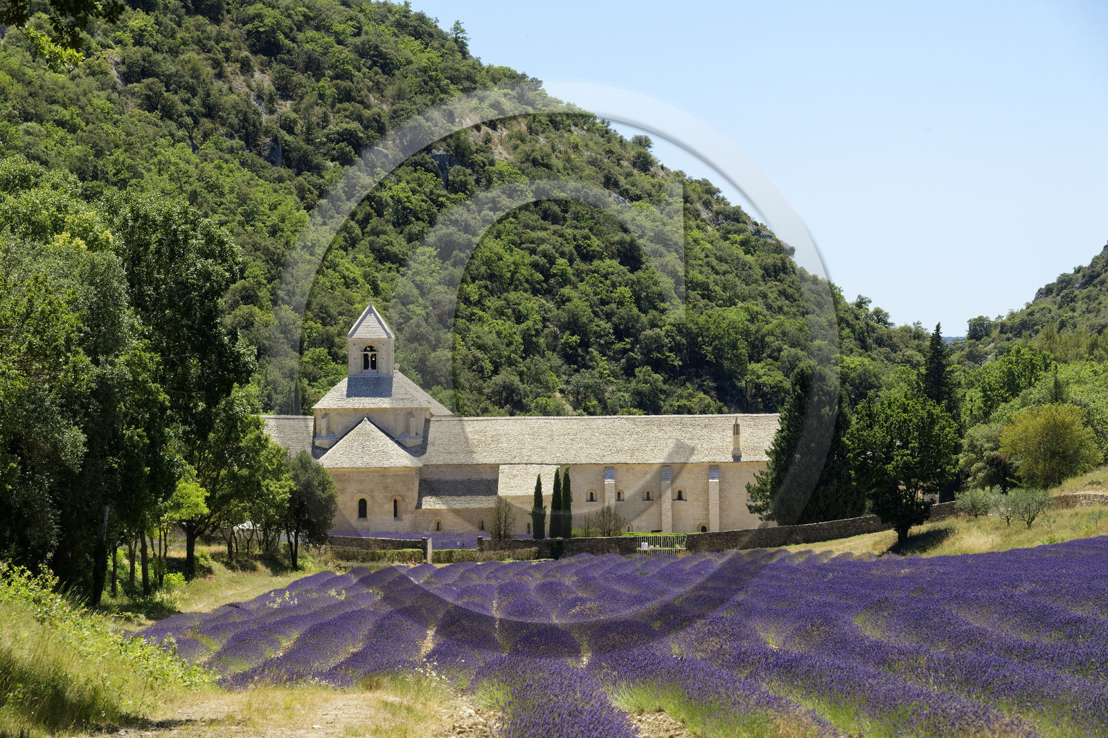 France, Senanque