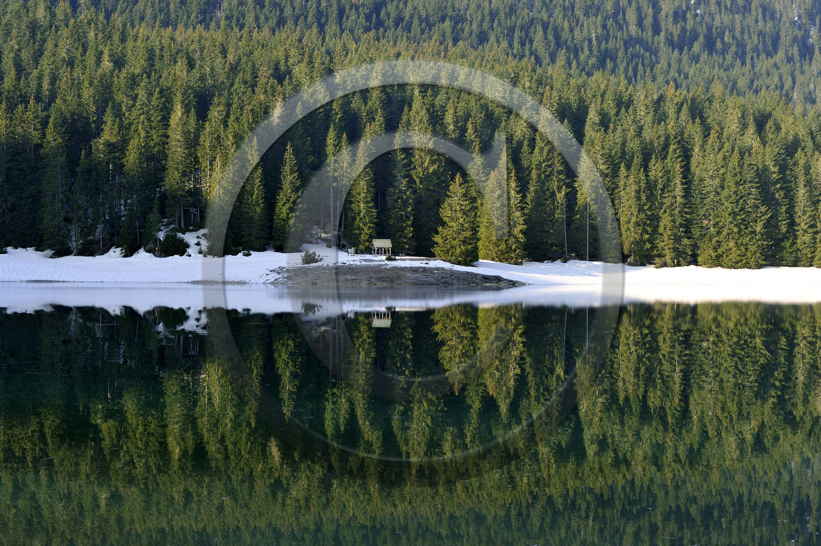 Montenegro, lac noir