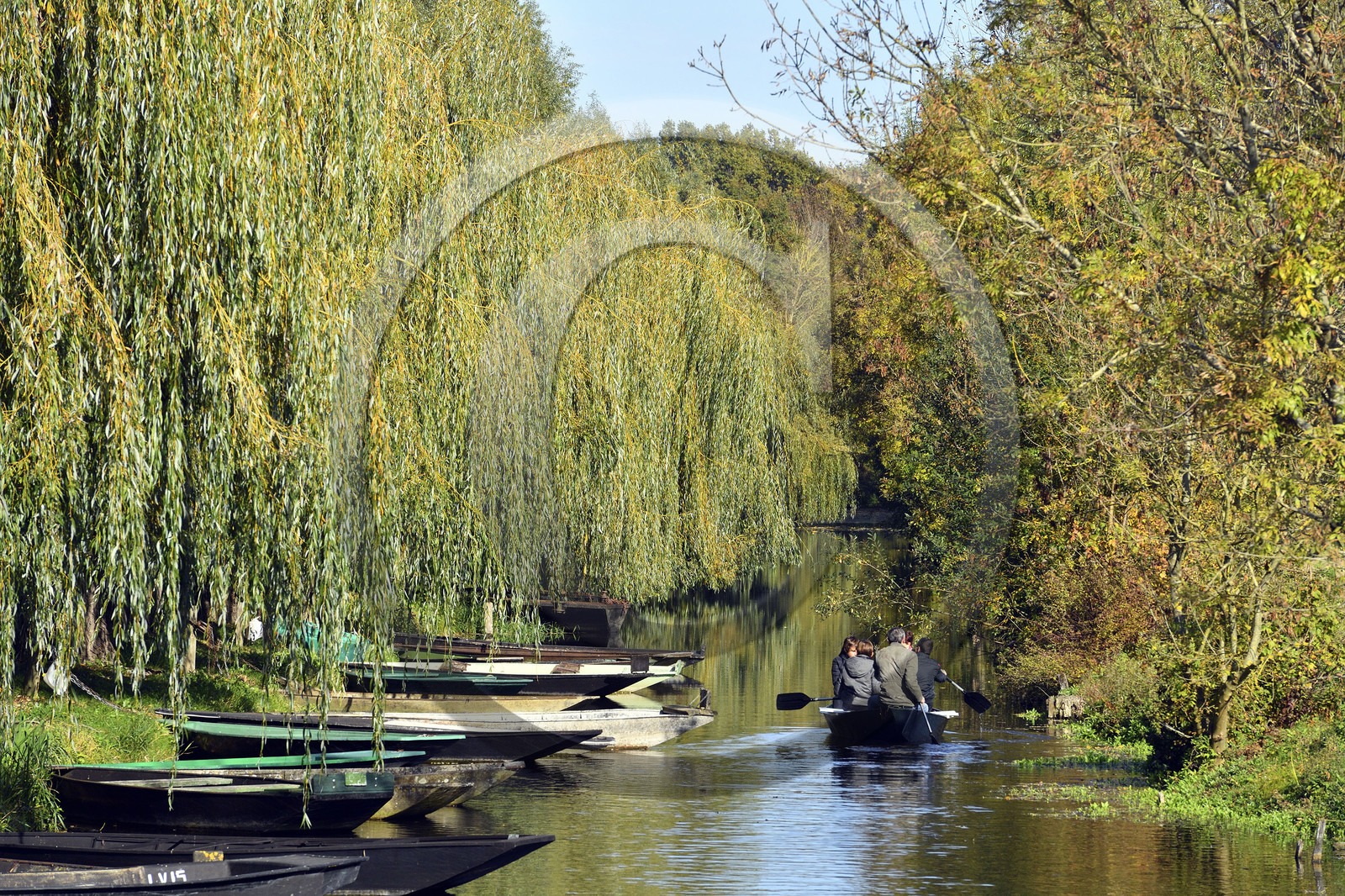 France, Marais Poitevin