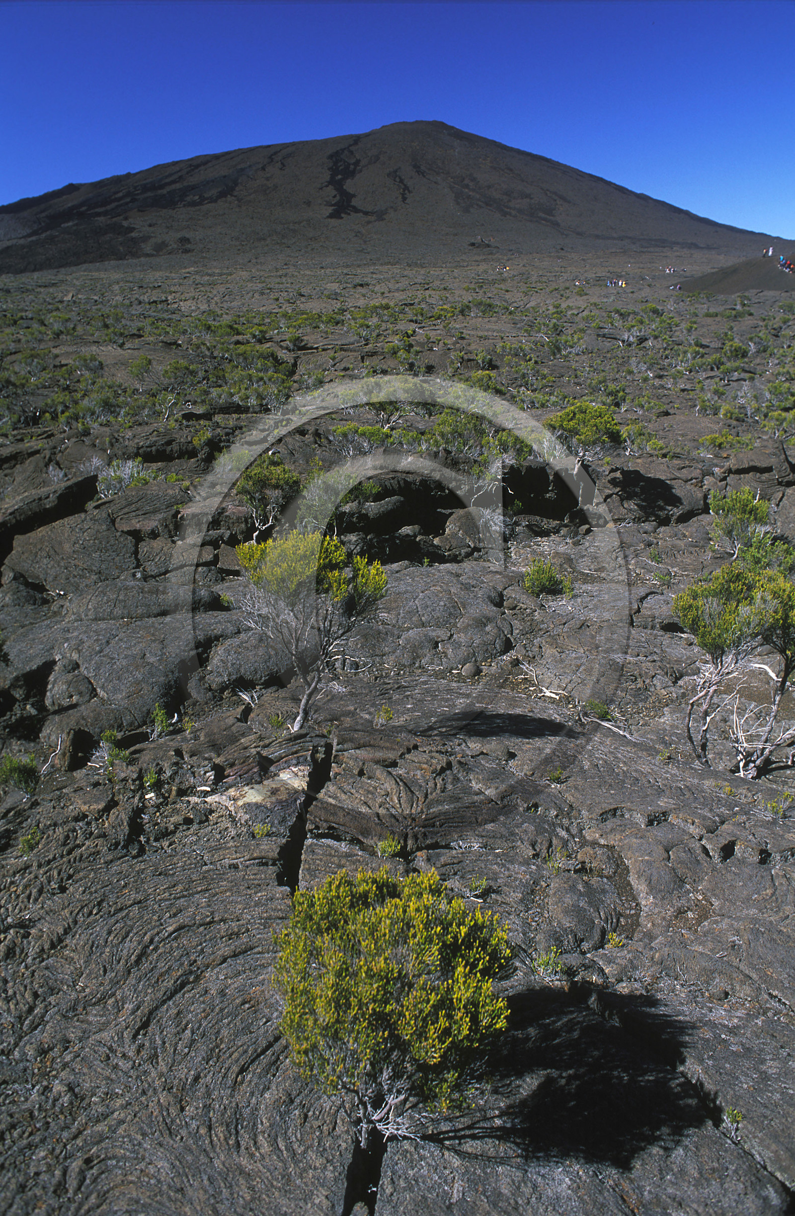 Ile de la Réunion.France
