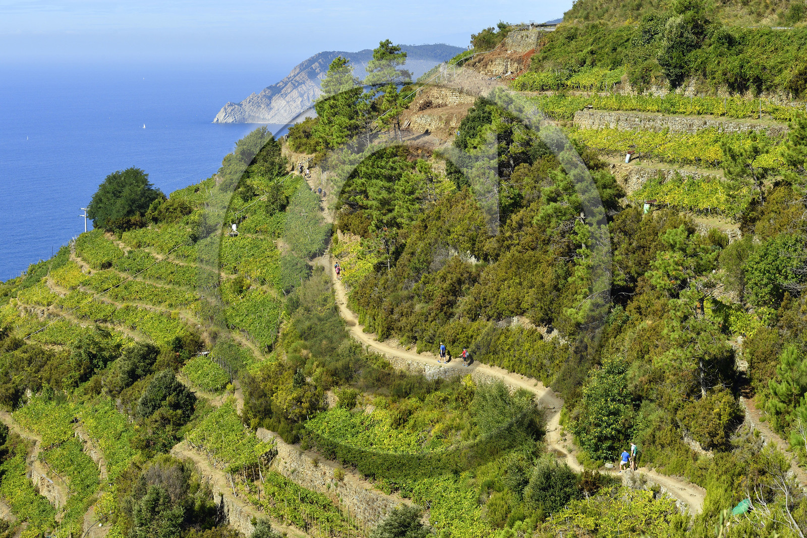 Italie, Cinque Terre