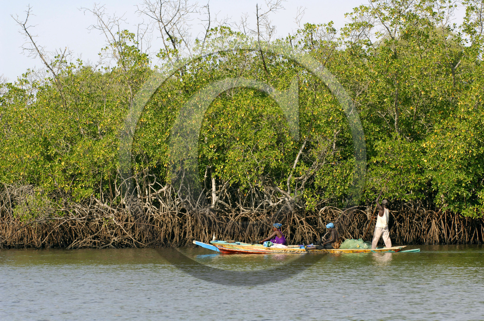 Saloum, Sénégal