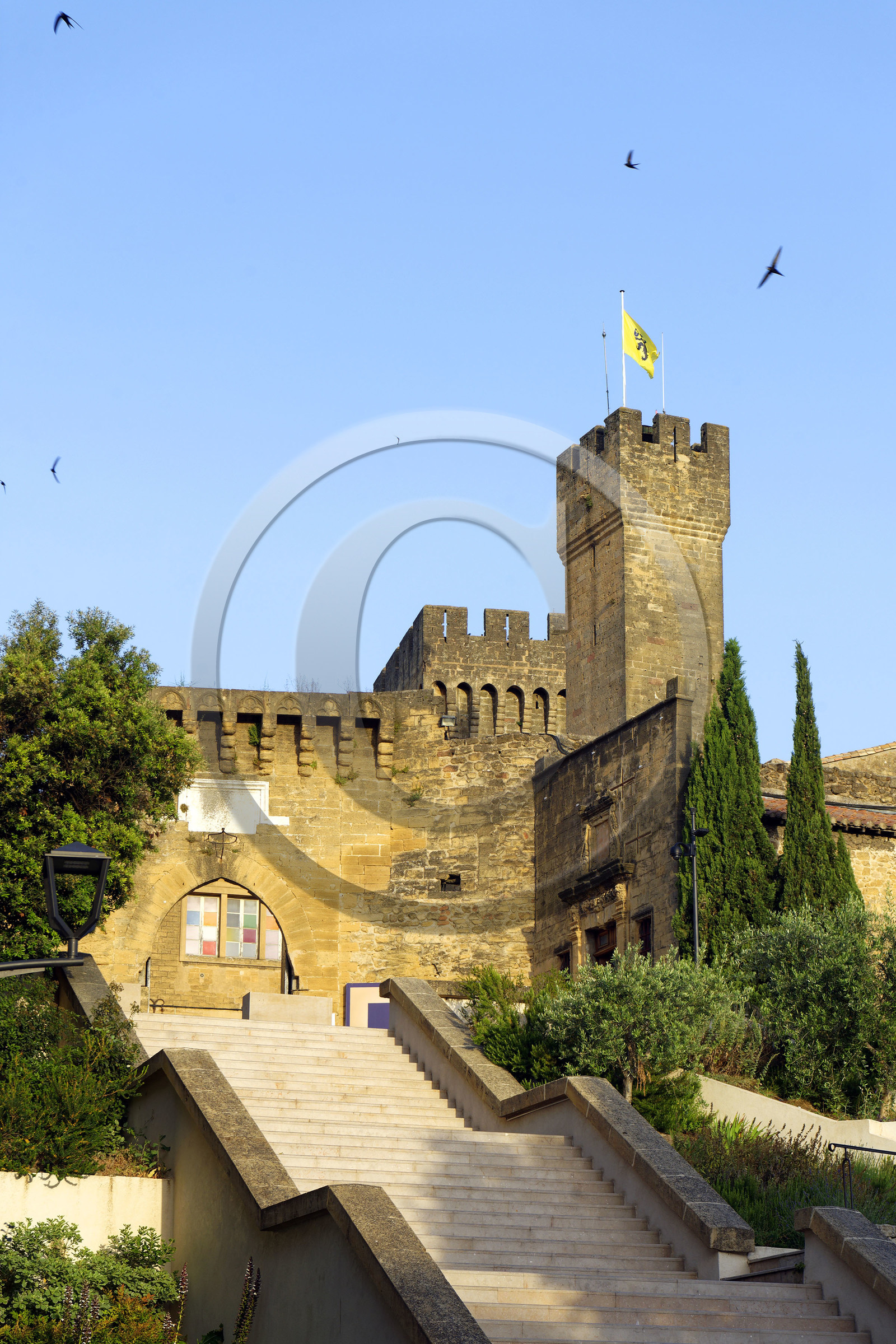 France, Salon de Provence