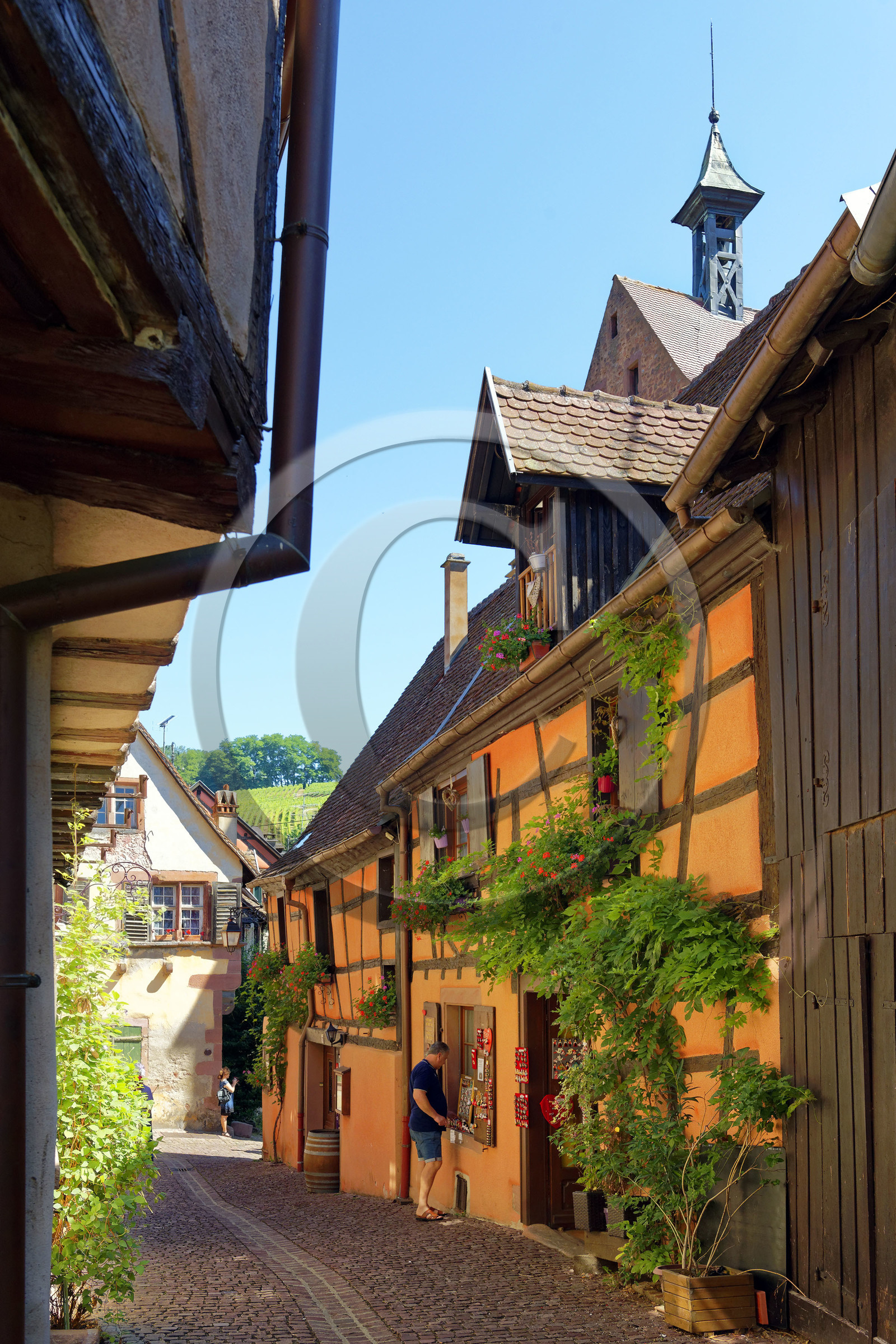 France,  Riquewihr