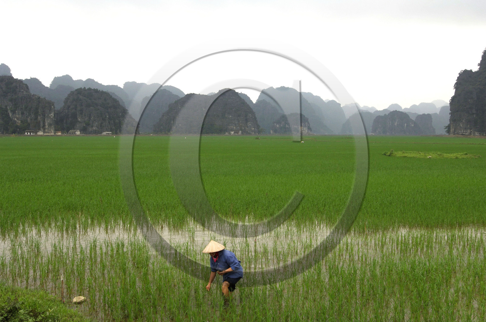 TAM COC, VIETNAM