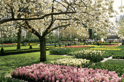 KEUKENHOF.PAYS BAS
