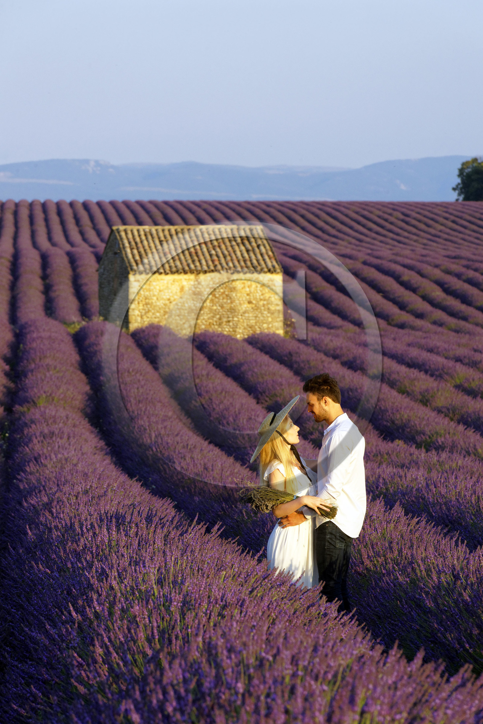 France, Valensole