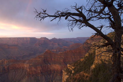 USA, GRAND CANYON