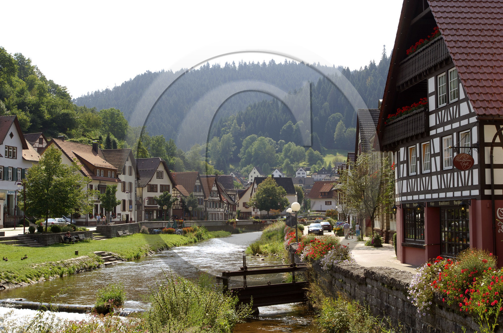 Black Forest, Germany