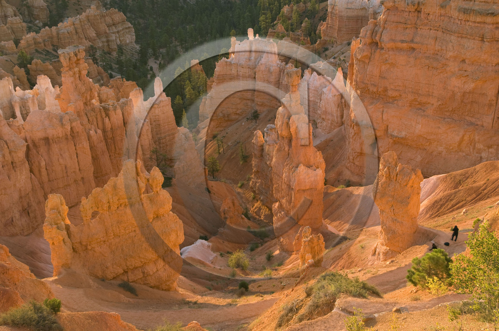 USA, BRYCE CANYON