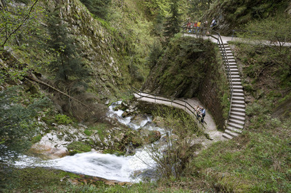 Allemagne, Forêt Noire