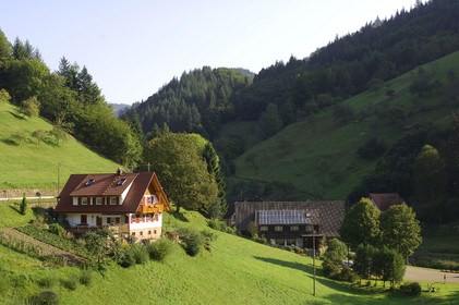 Black Forest, Germany