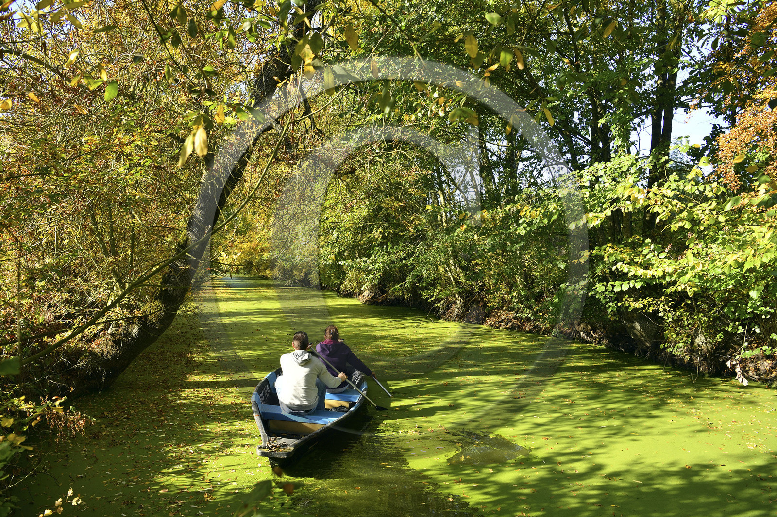 France, Marais Poitevin
