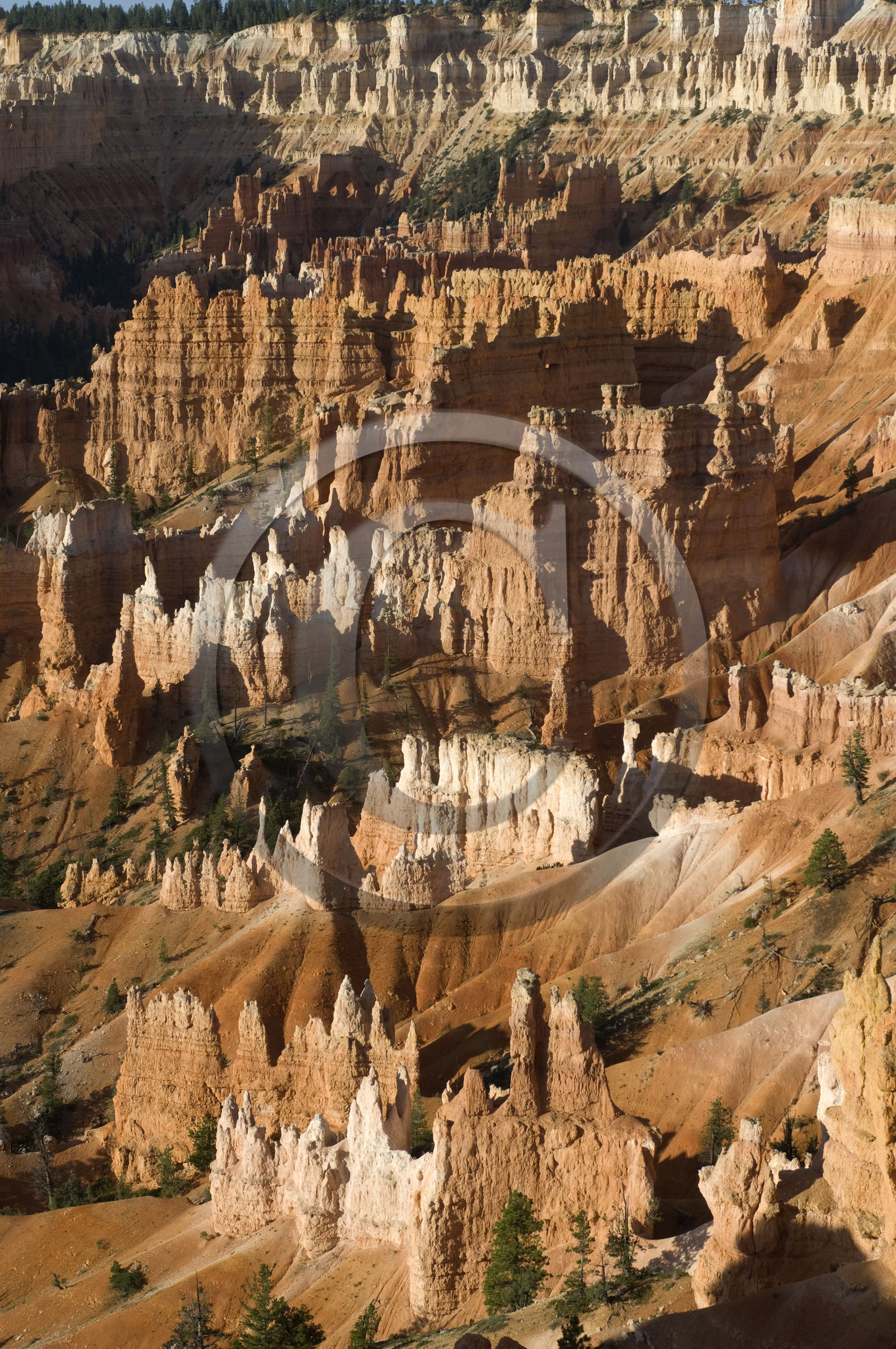 USA, BRYCE CANYON