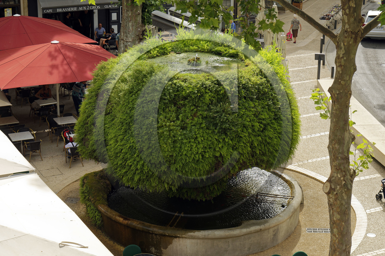 France, Salon de Provence