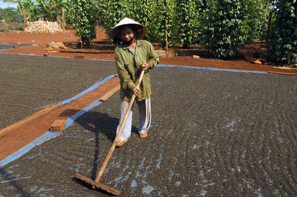 HAUTS PLATEAUX DU CENTRE, VIETNAM