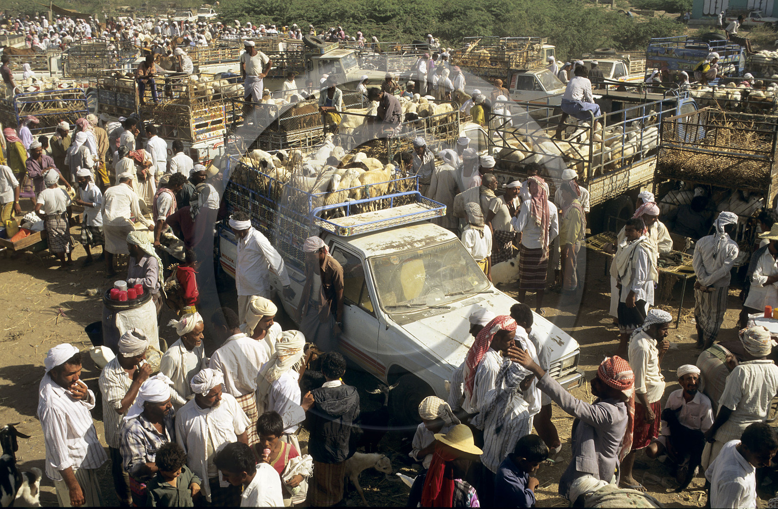 BAYT AL FAQIN, YEMEN