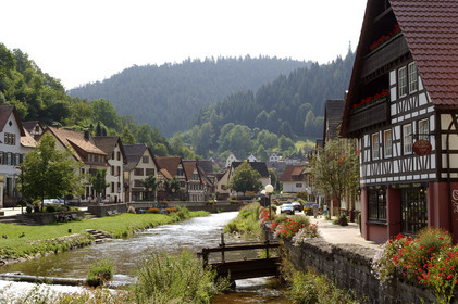 Black Forest, Germany