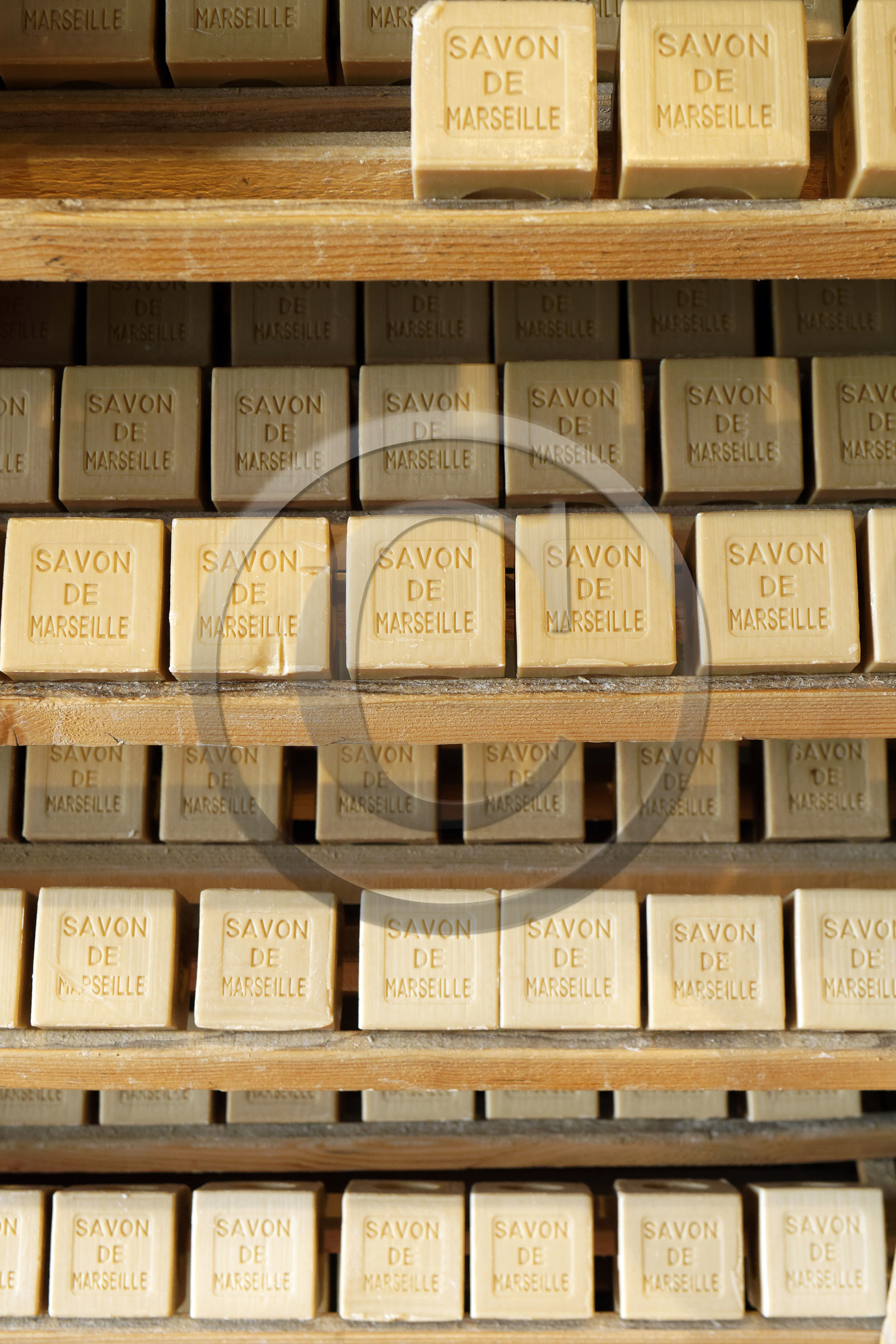 France, Salon de Provence