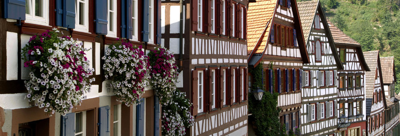 Black Forest, Germany