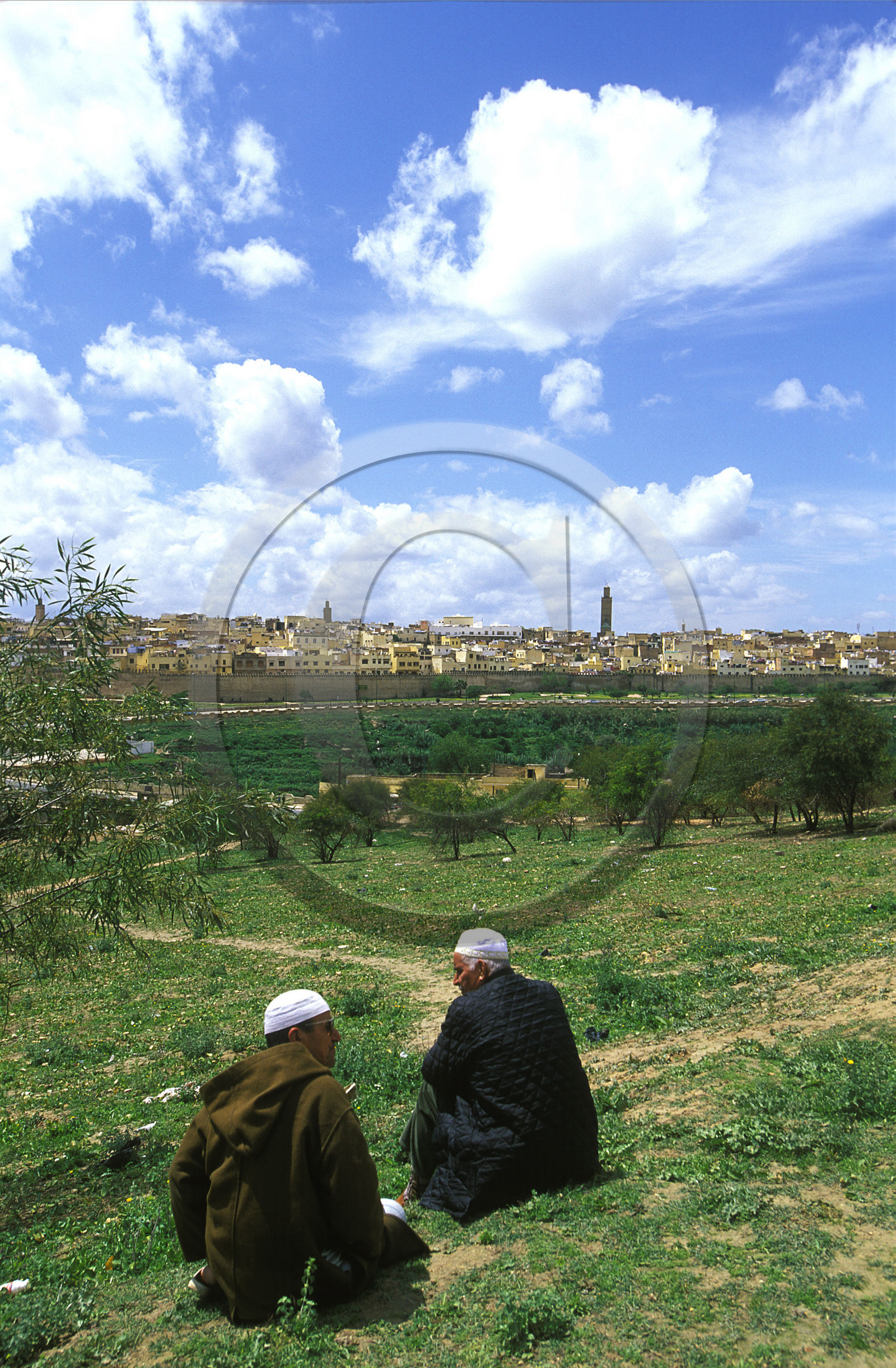 MAROC   MEKNES.VUE GÉNÉRALE