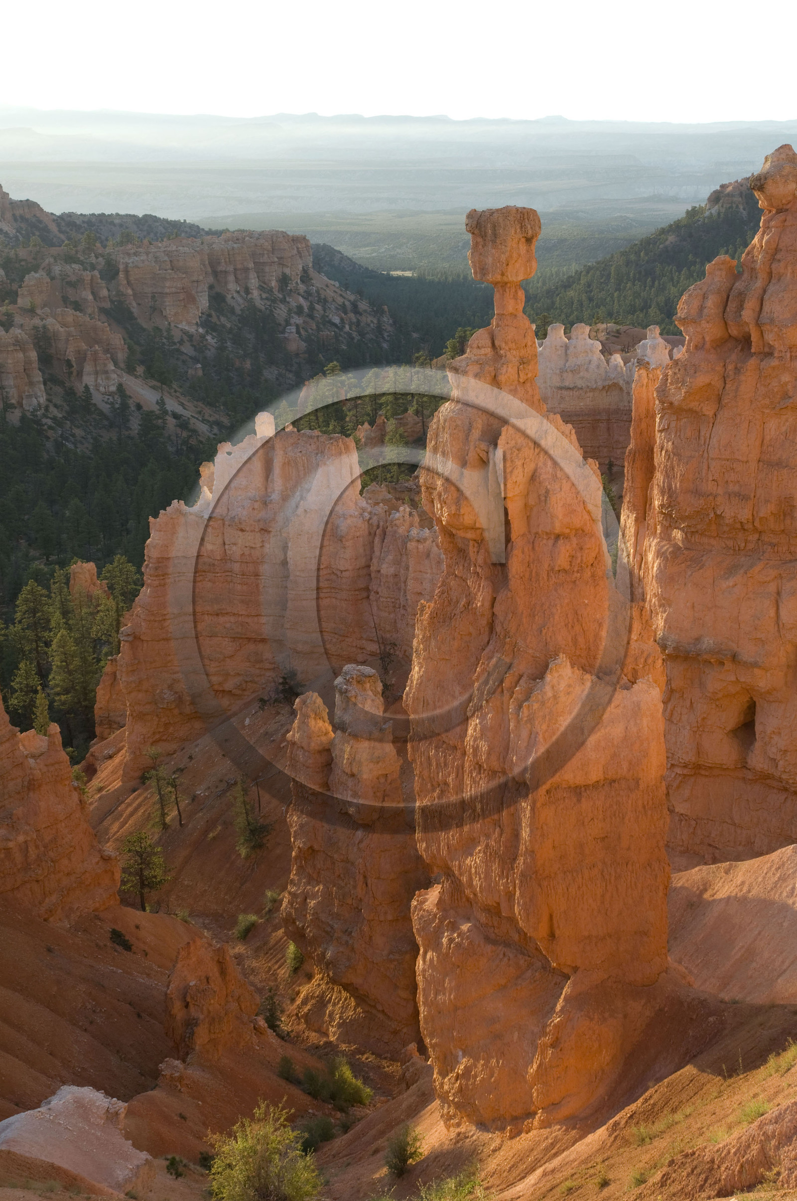 USA, BRYCE CANYON