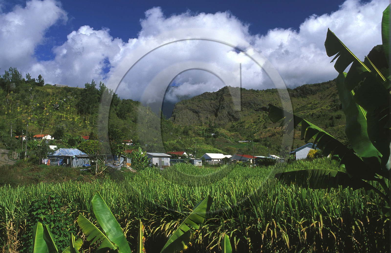 Ile de la Réunion.France