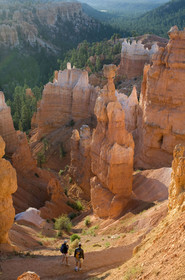 USA, BRYCE CANYON