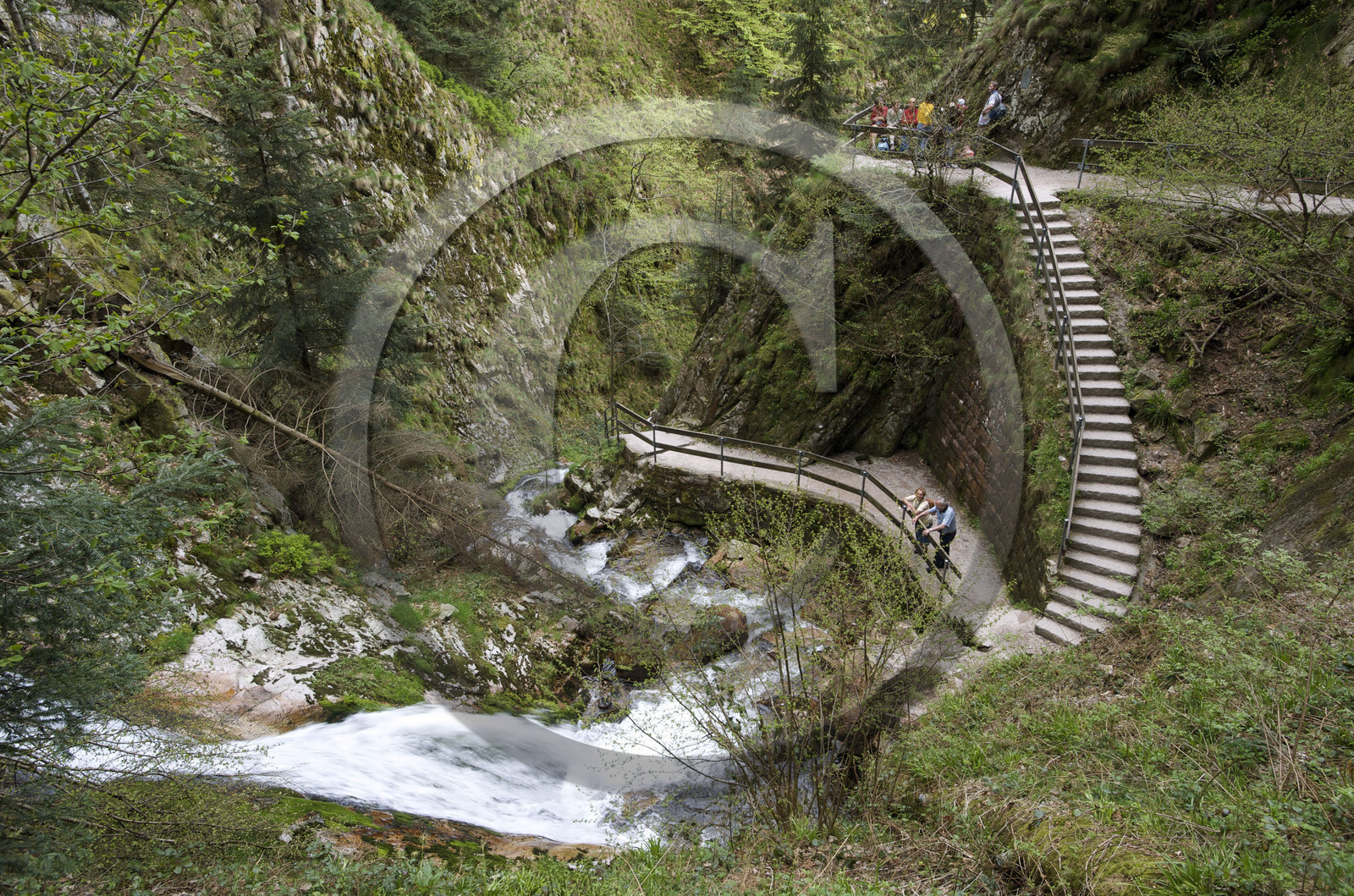 Allemagne, Forêt Noire