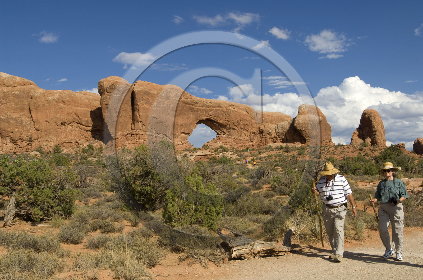 USA, ARCHES