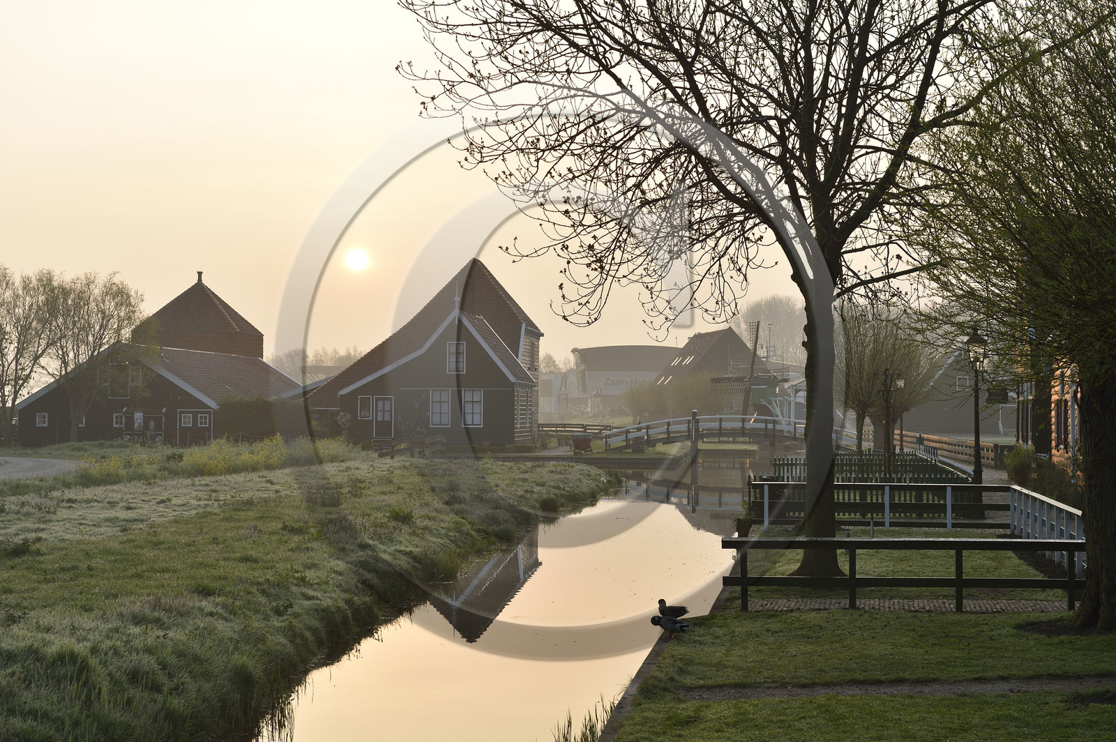 Hollande, Zaanse Schans