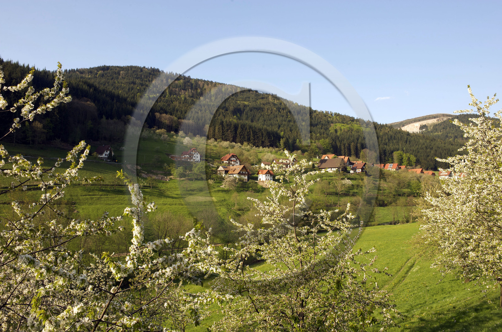 Allemagne, Forêt Noire