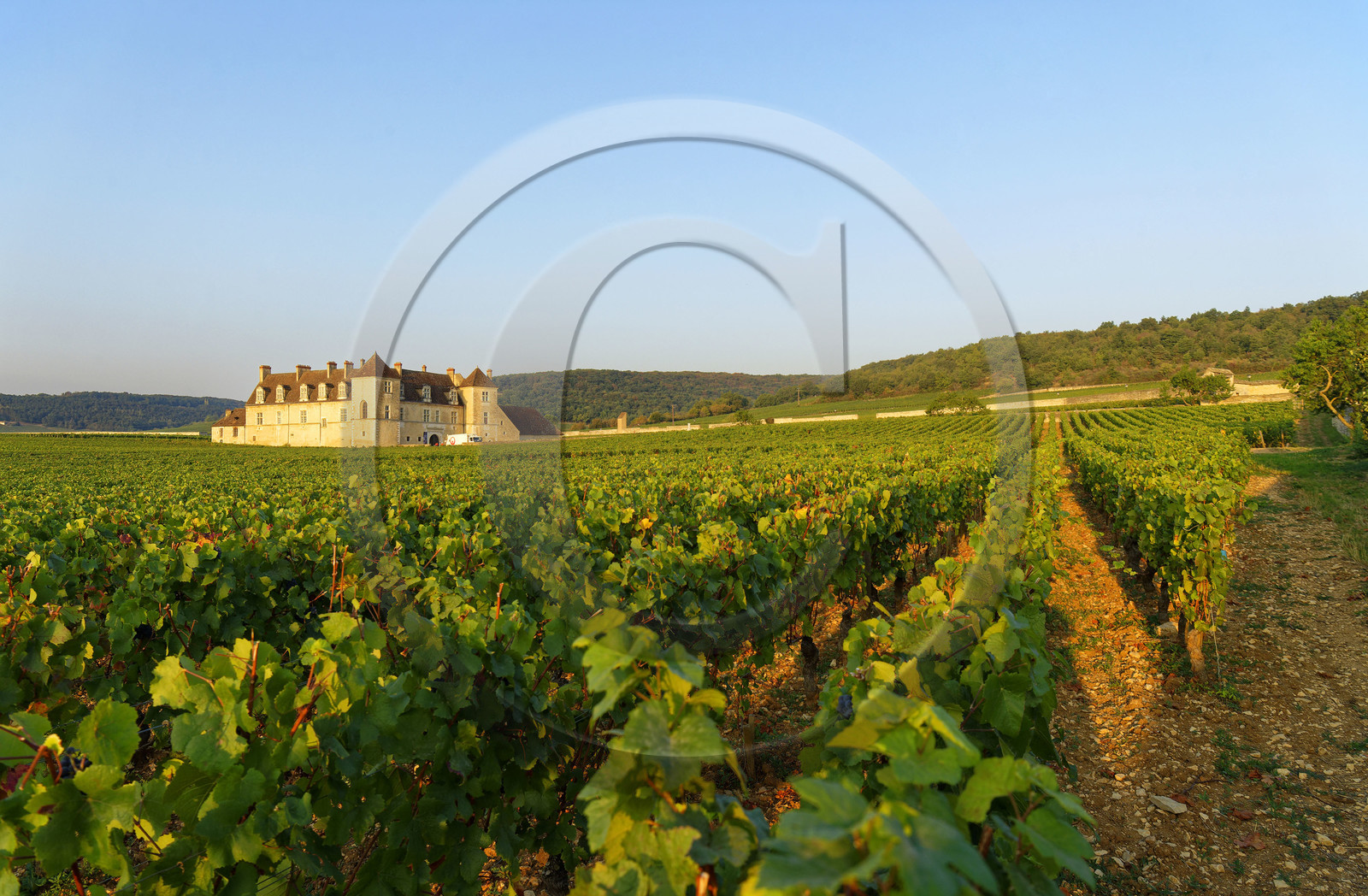 France, Vougeot