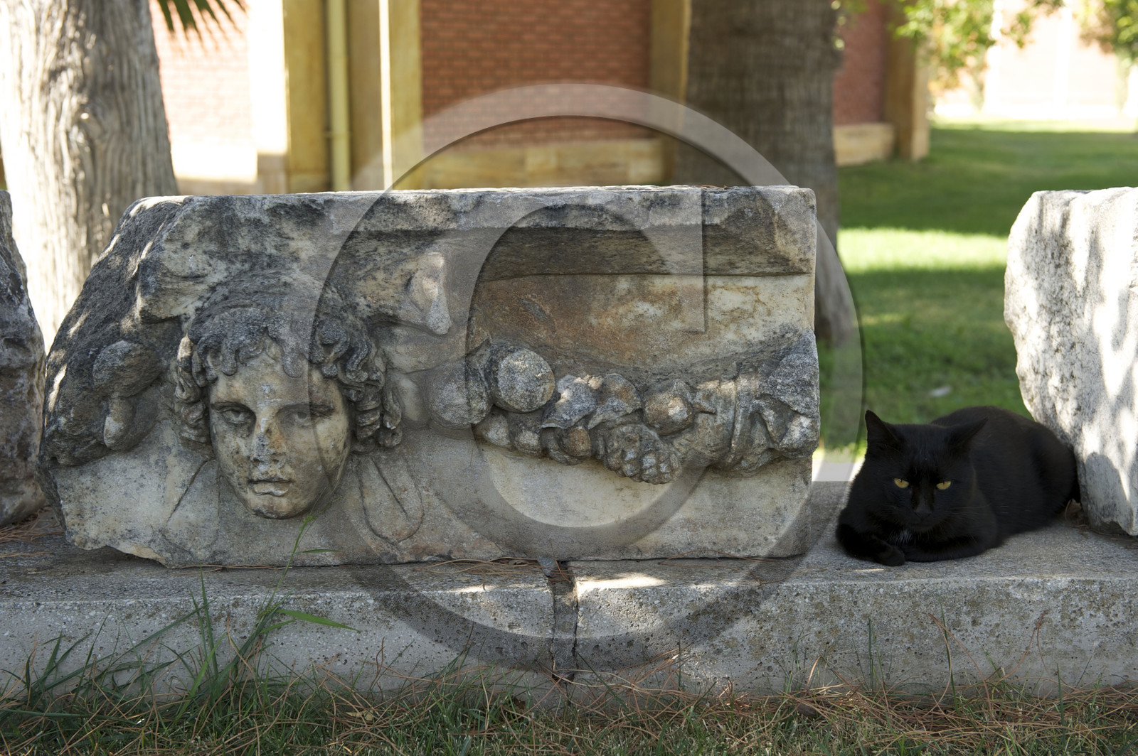 Turquie, Aphrodisias