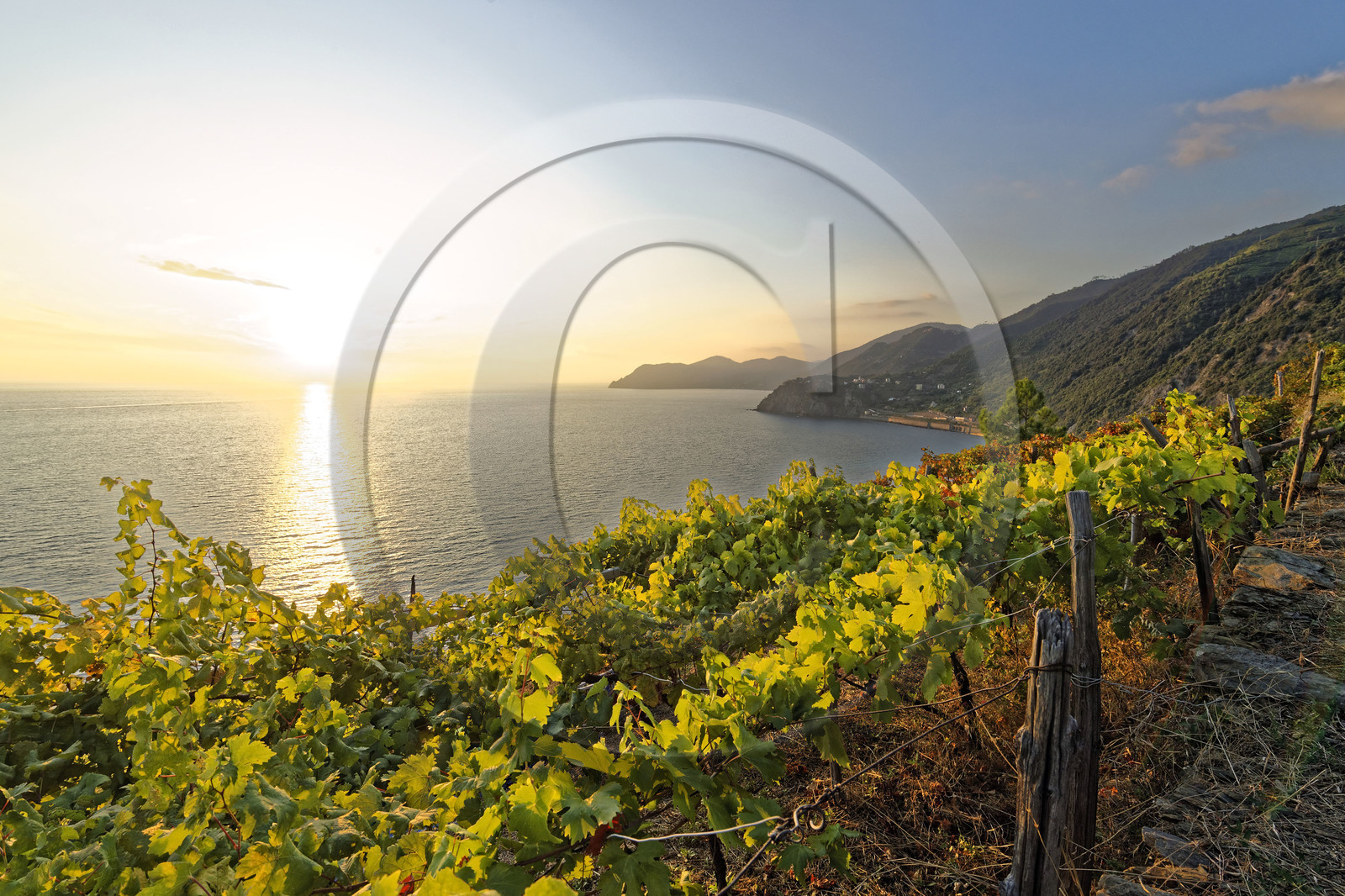 Italie, Cinque Terre