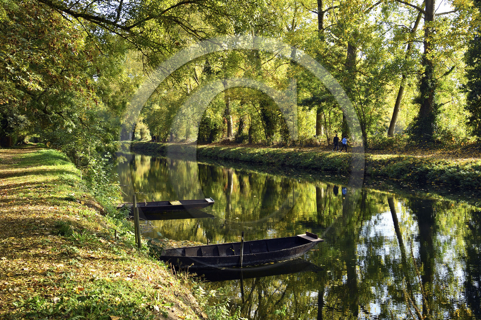 France, Marais Poitevin