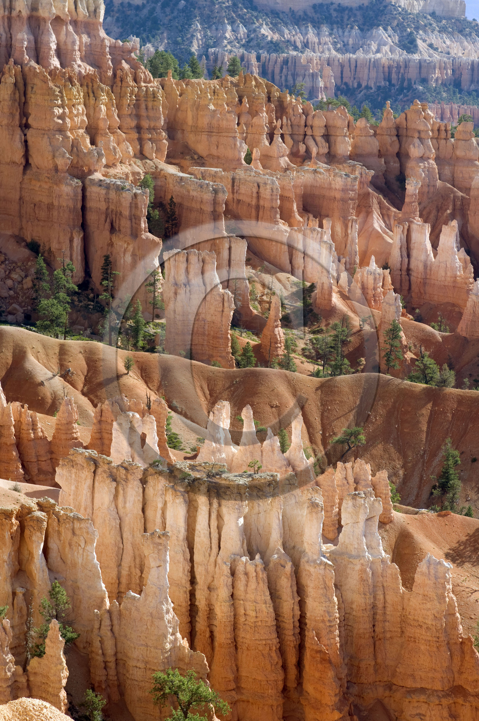 USA, BRYCE CANYON