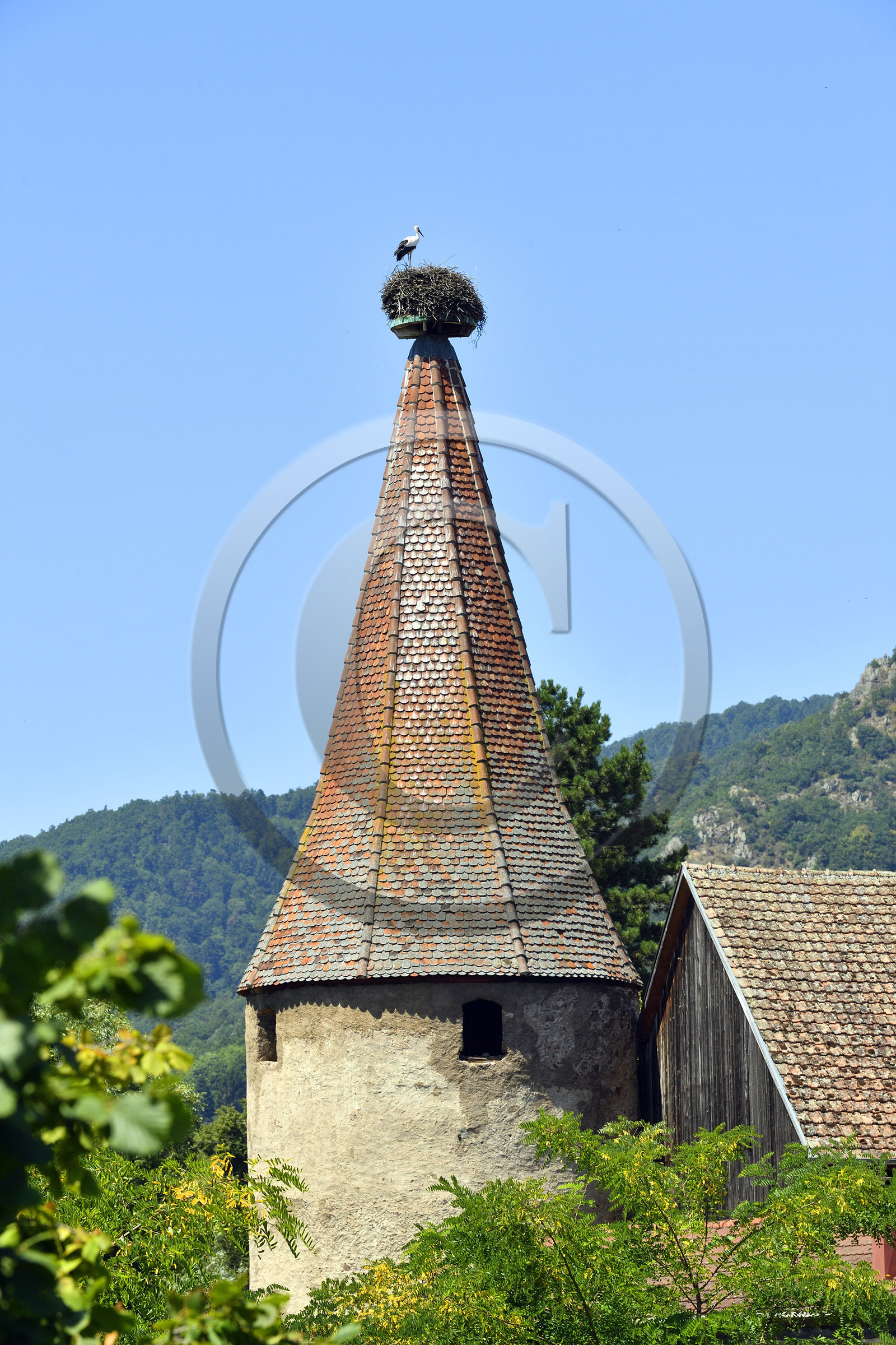 France,  Ribeauville