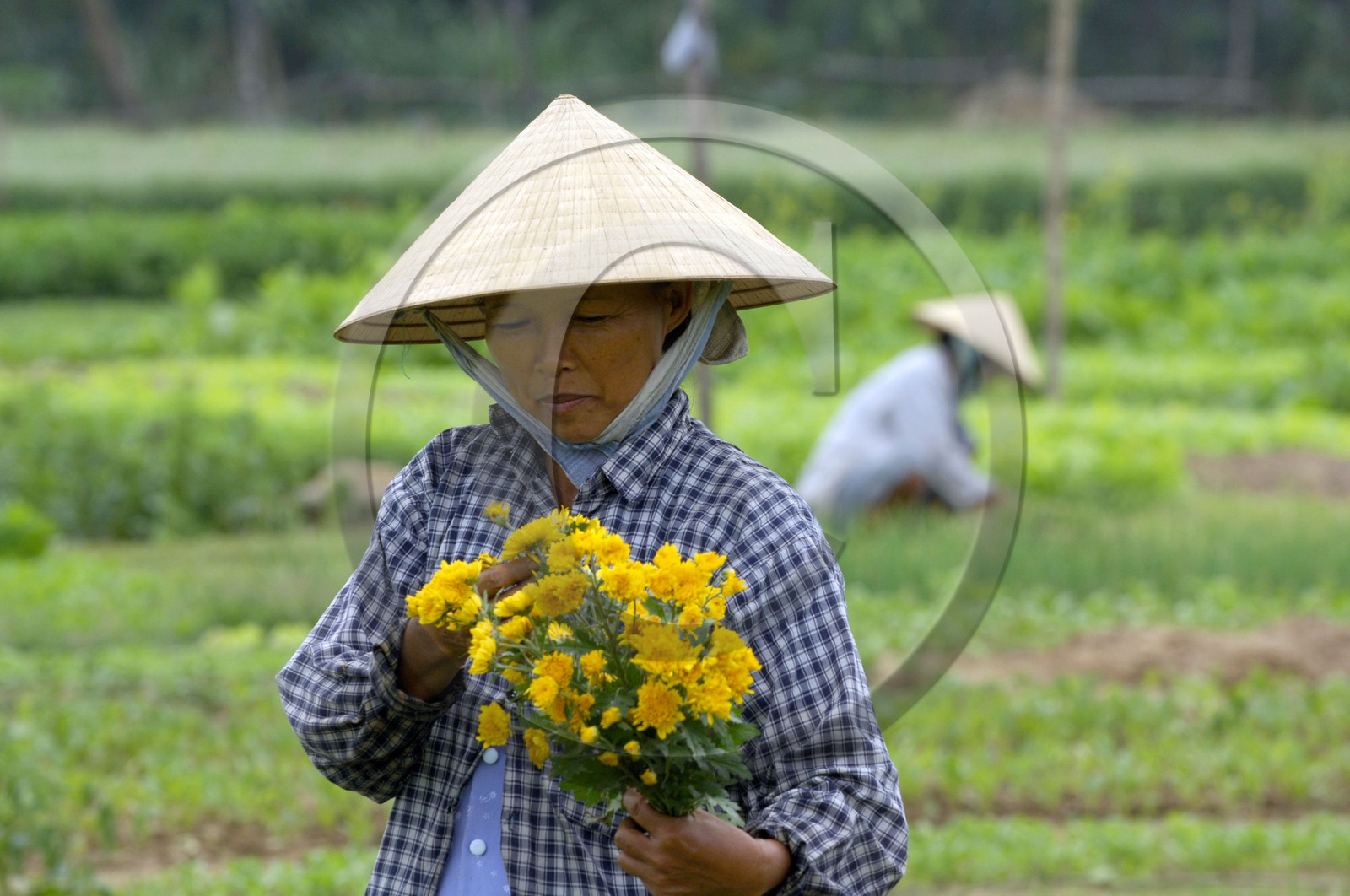 HOI AN. VIETNAM