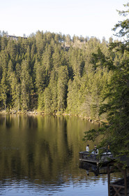 Allemagne, Forêt Noire
