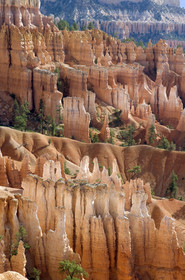 USA, BRYCE CANYON