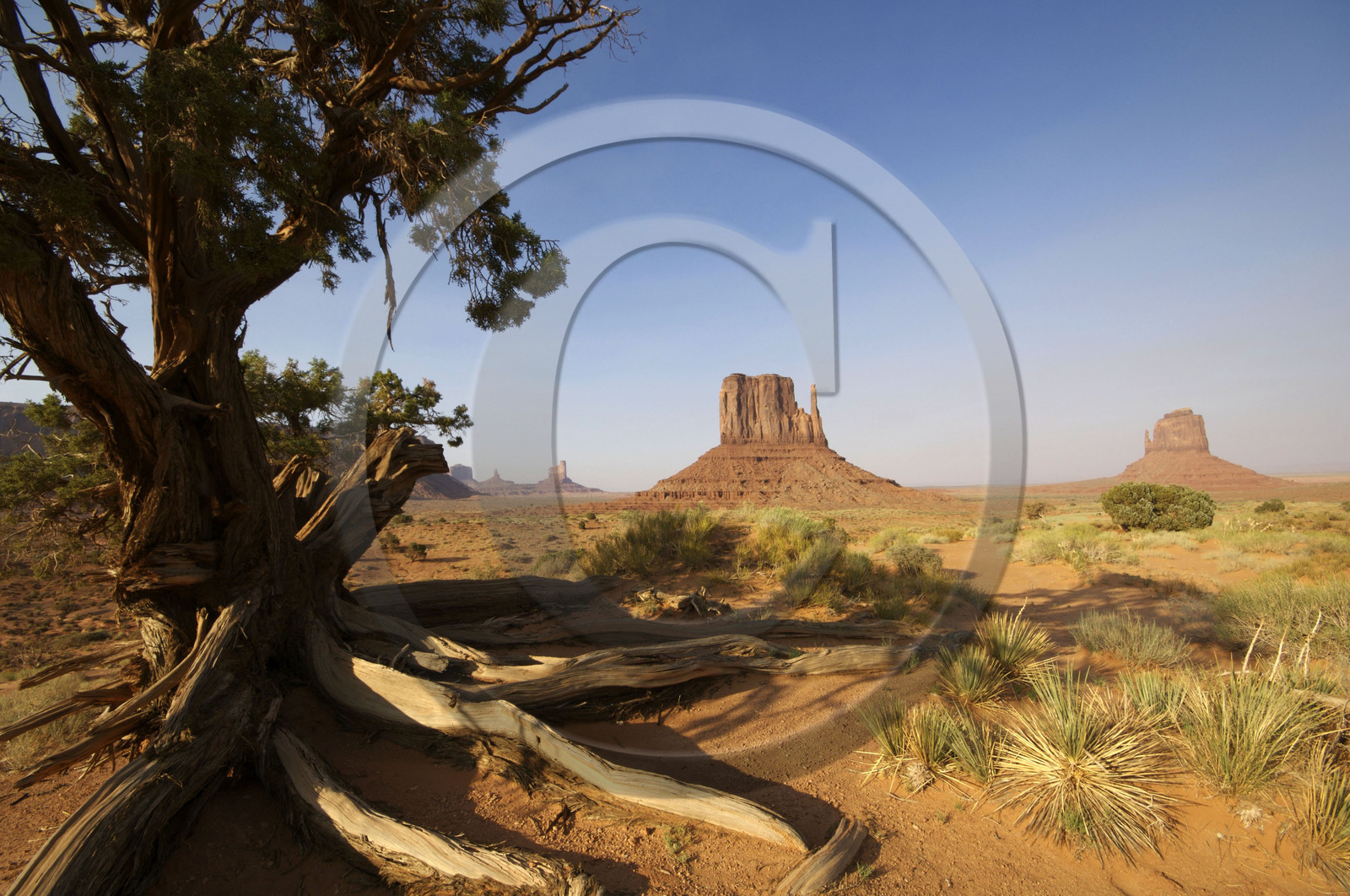 USA, MONUMENT VALLEY