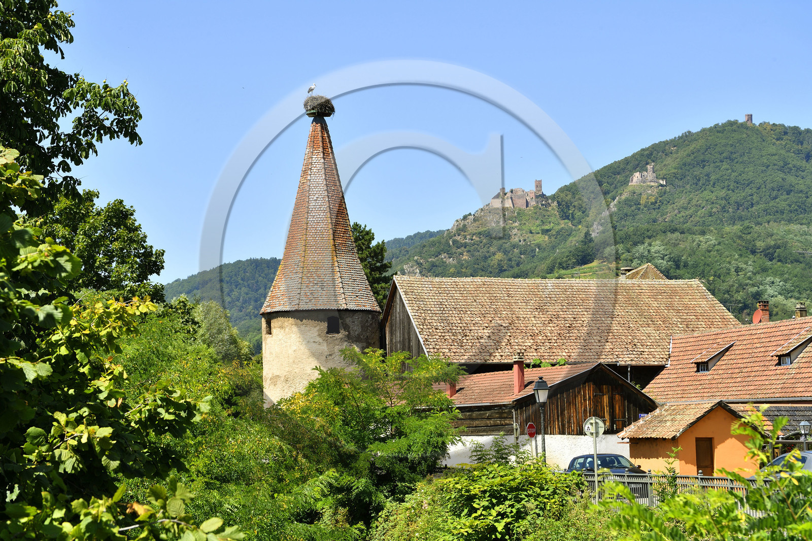 France,  Ribeauville