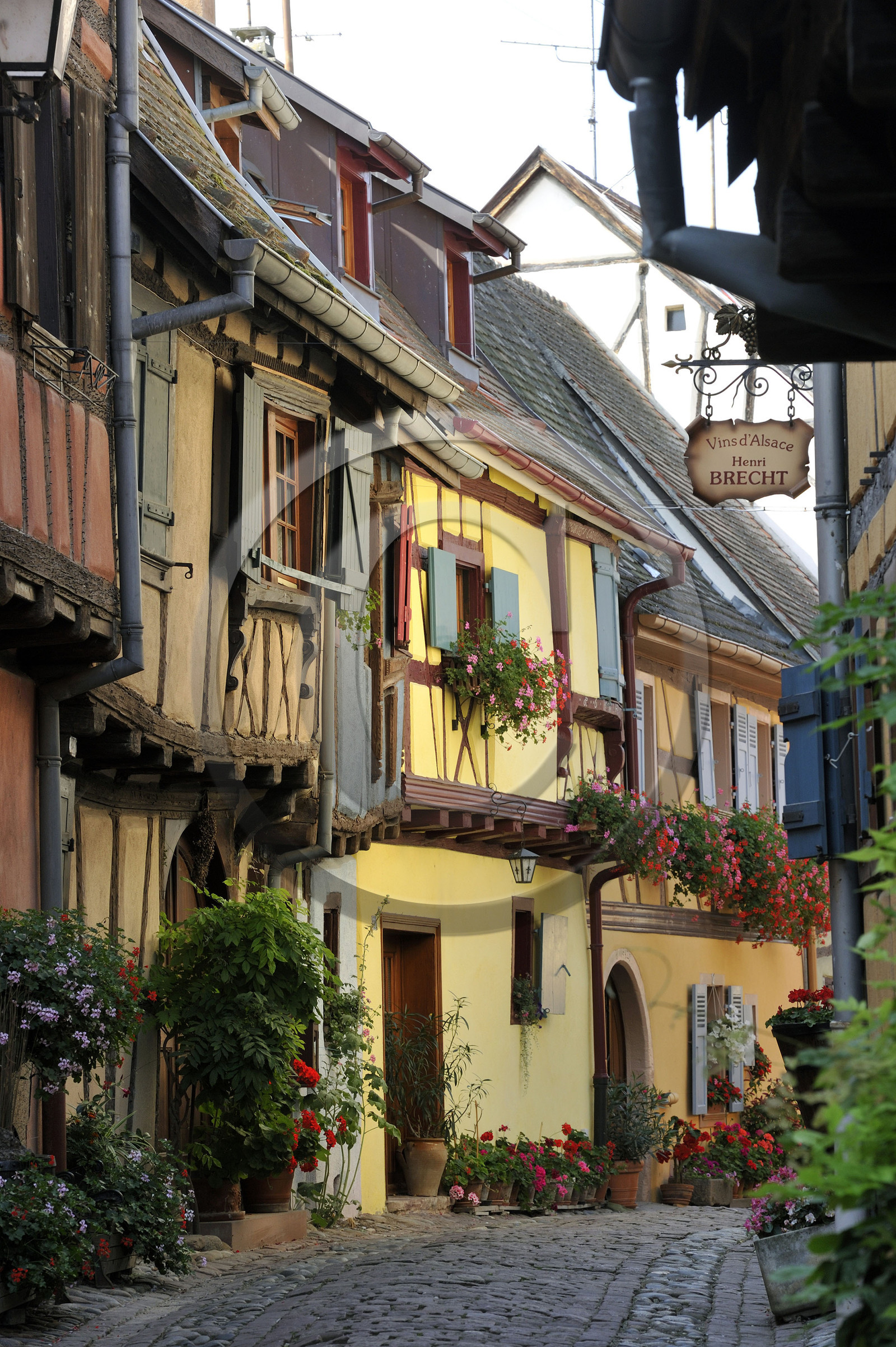France, Eguisheim