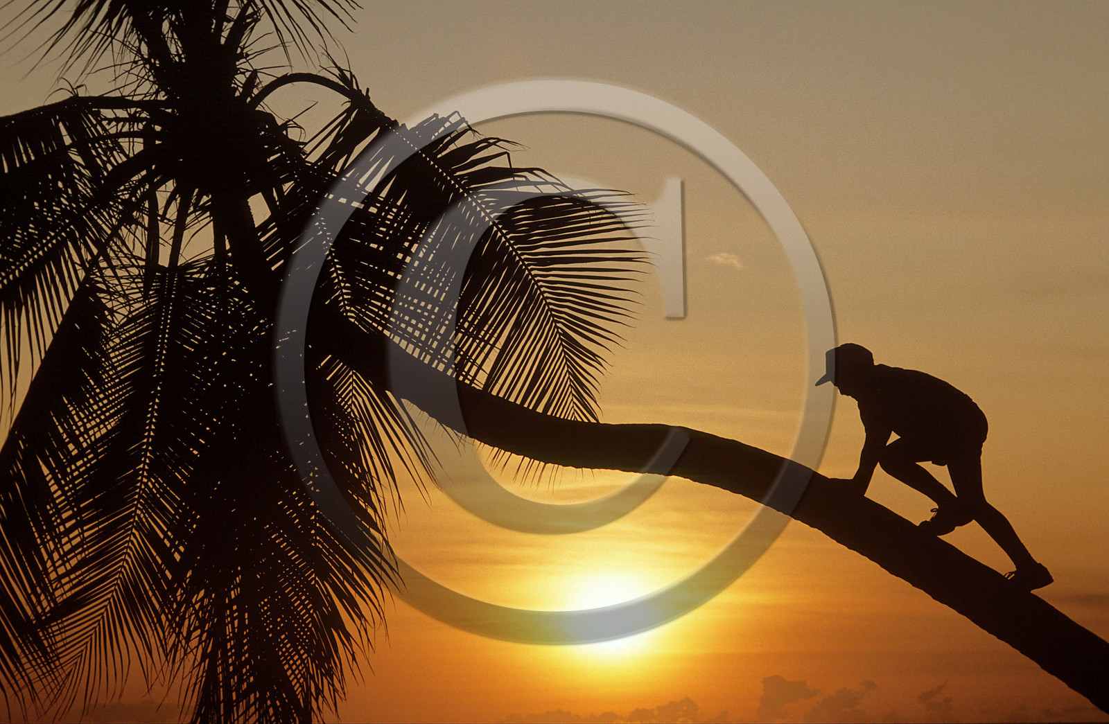 Plage des Salines. Martinique. Antilles Françaises