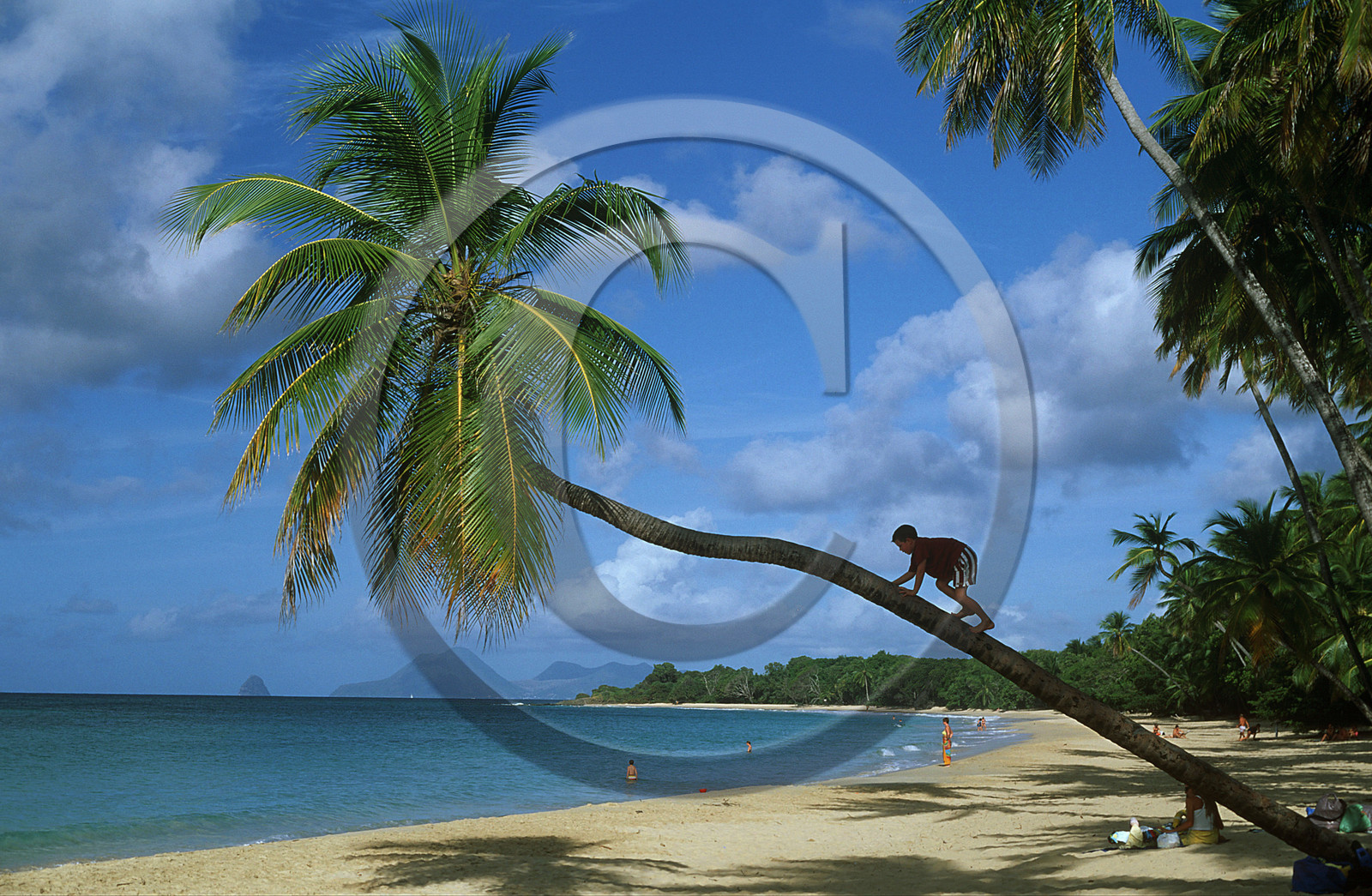 Plage des Salines. Martinique. Antilles Françaises