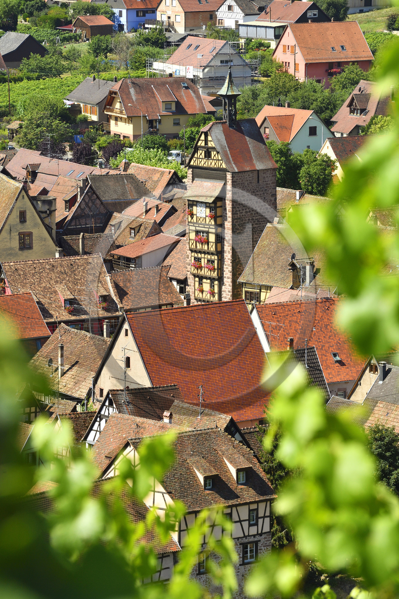 France,  Riquewihr