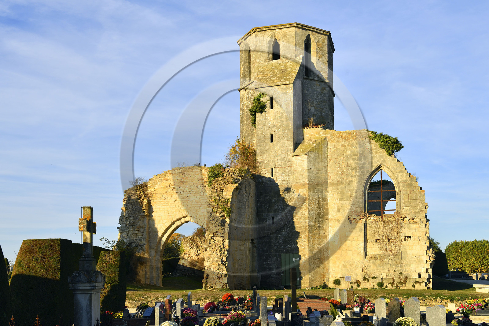 France, Marais Poitevin